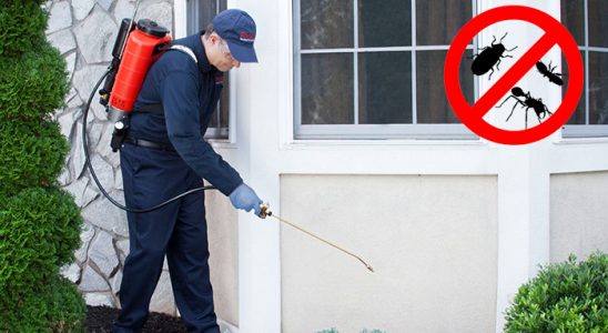 Sarıyer Hamam Böceği İlaçlama böcek ilaçlama ve haşere kontrolü — ilaclama-tr.com